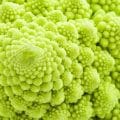 Romanesco in Nahaufnahme