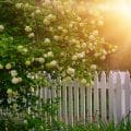 Weißer Holzzaun im Garten