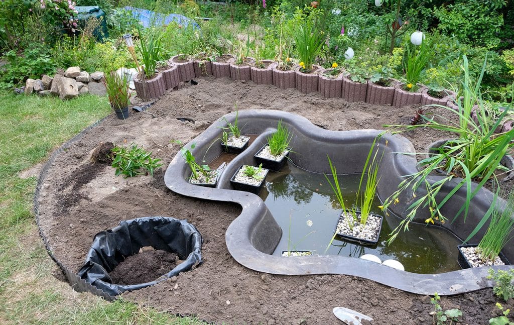 gartenteich anlegen