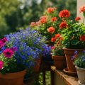 Balkon im Mai bepflanzen 2026 – Sommerblumen und Kübelpflanzen für Terrasse und Balkon