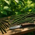 Gartenmesser Test 2026: Pfropf- und Veredelungsmesser verglichen