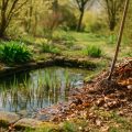 Gartenteich im Frühjahr reinigen und fit machen 2026 – Der komplette Leitfaden