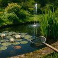 Gartenteich im Frühling vorbereiten 2026 – Algen bekämpfen und Technik prüfen