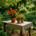 Gartentisch Test 2026: Die 5 besten Modelle im Vergleich