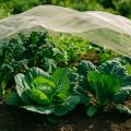 Insektenschutznetz Test 2026: Bestes Kulturschutznetz im Vergleich