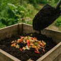 Kompost anlegen 2026 – Schritt für Schritt zum eigenen Gartenkompost