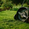 Rasenpflege im Sommer: Mähen, Düngen & Bewässern